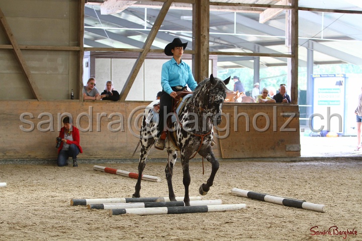26-ApHC GT_073.jpg